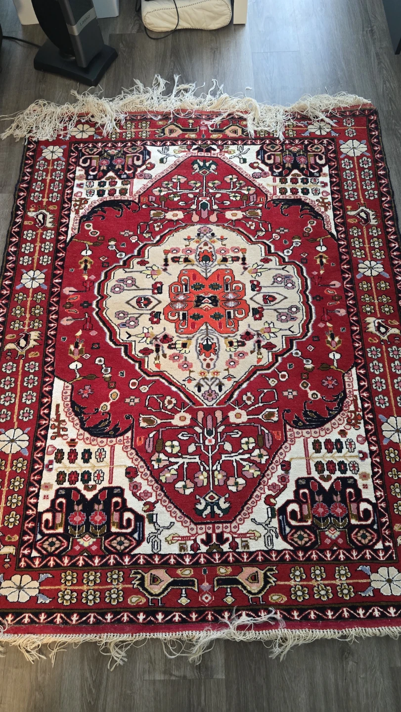 Traditional Persian-style Area Rug - photo 3