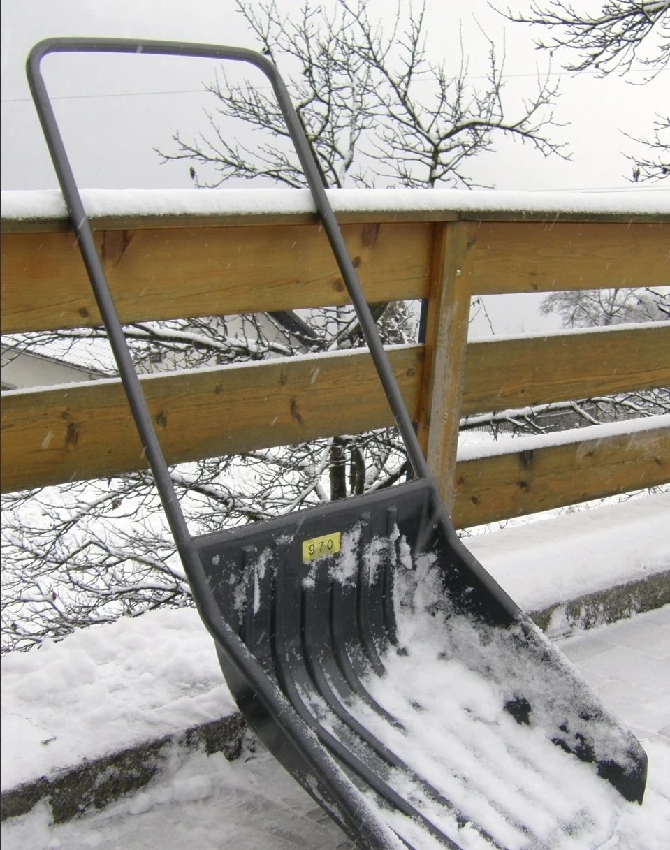 Snow removal/ leaf raking or lawn mowing