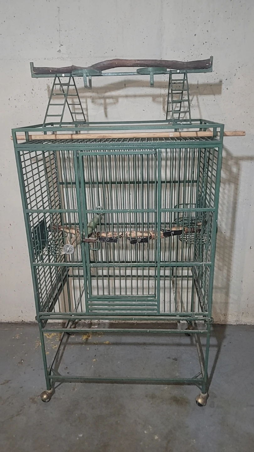 Green Metal Parrot Bird Cage