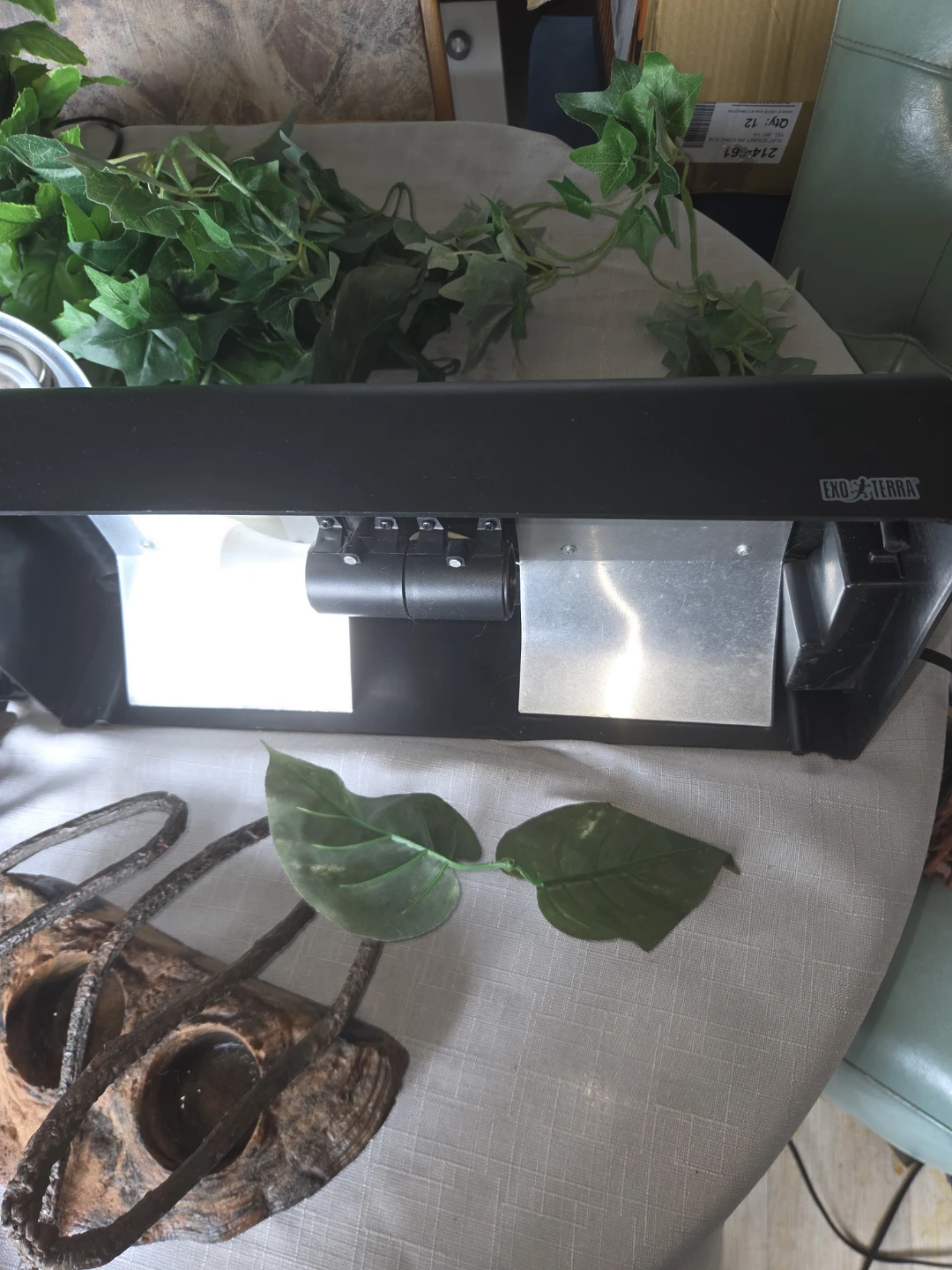 Reptile Terrarium Setup with Accessories - photo 4