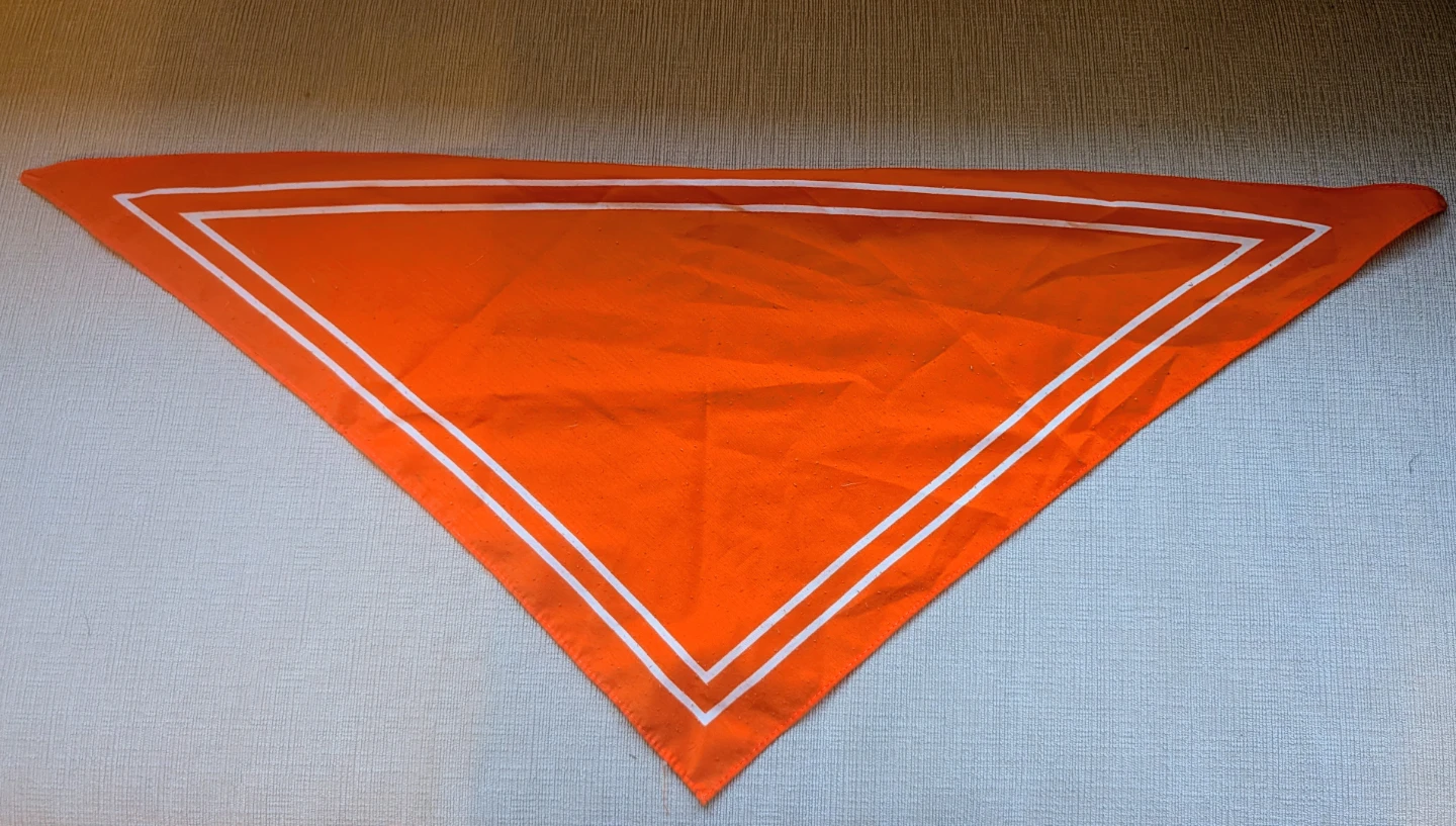 Orange Triangular Scarf Bandana