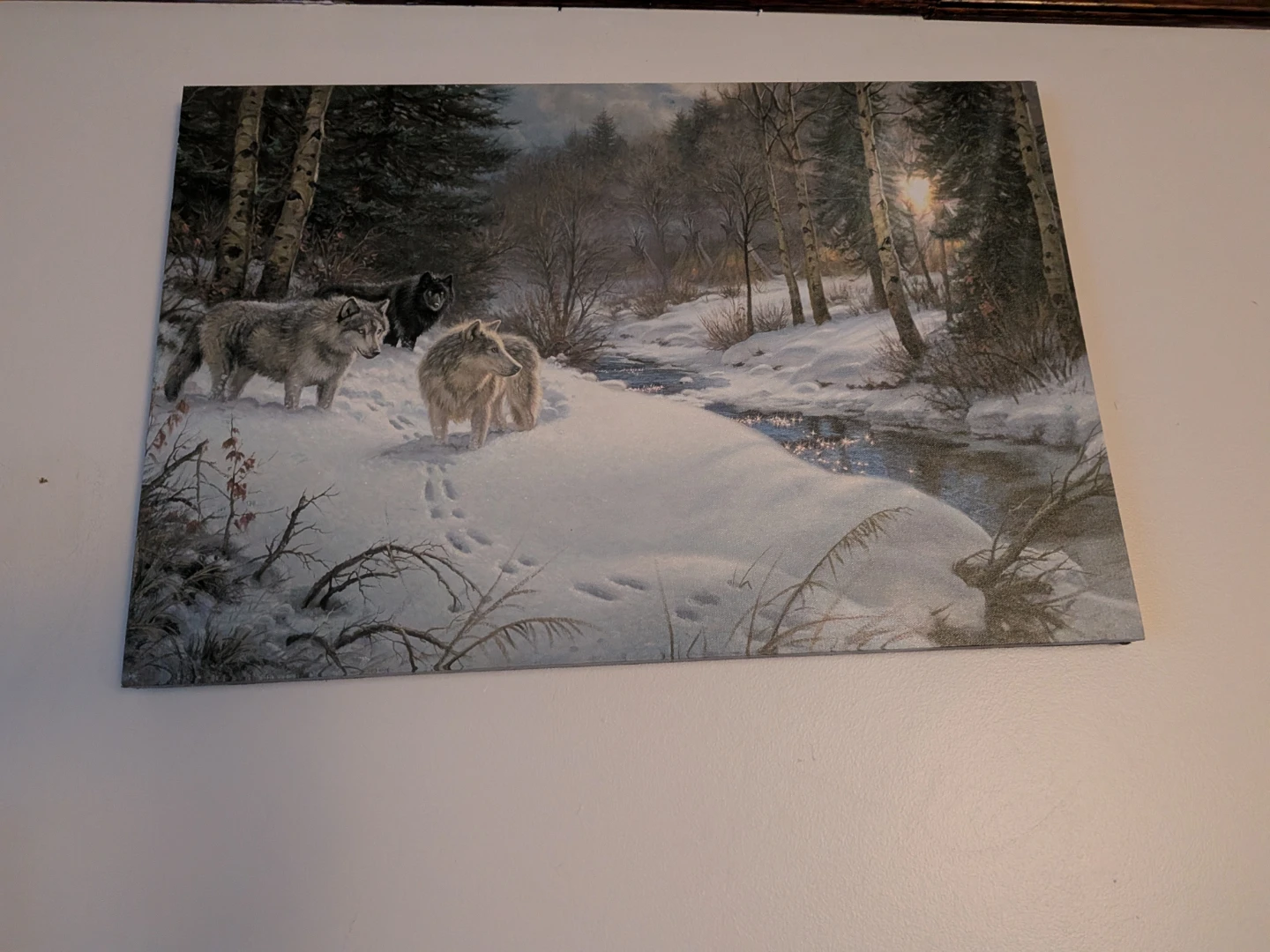 Spirit of the Wolf Framed Print