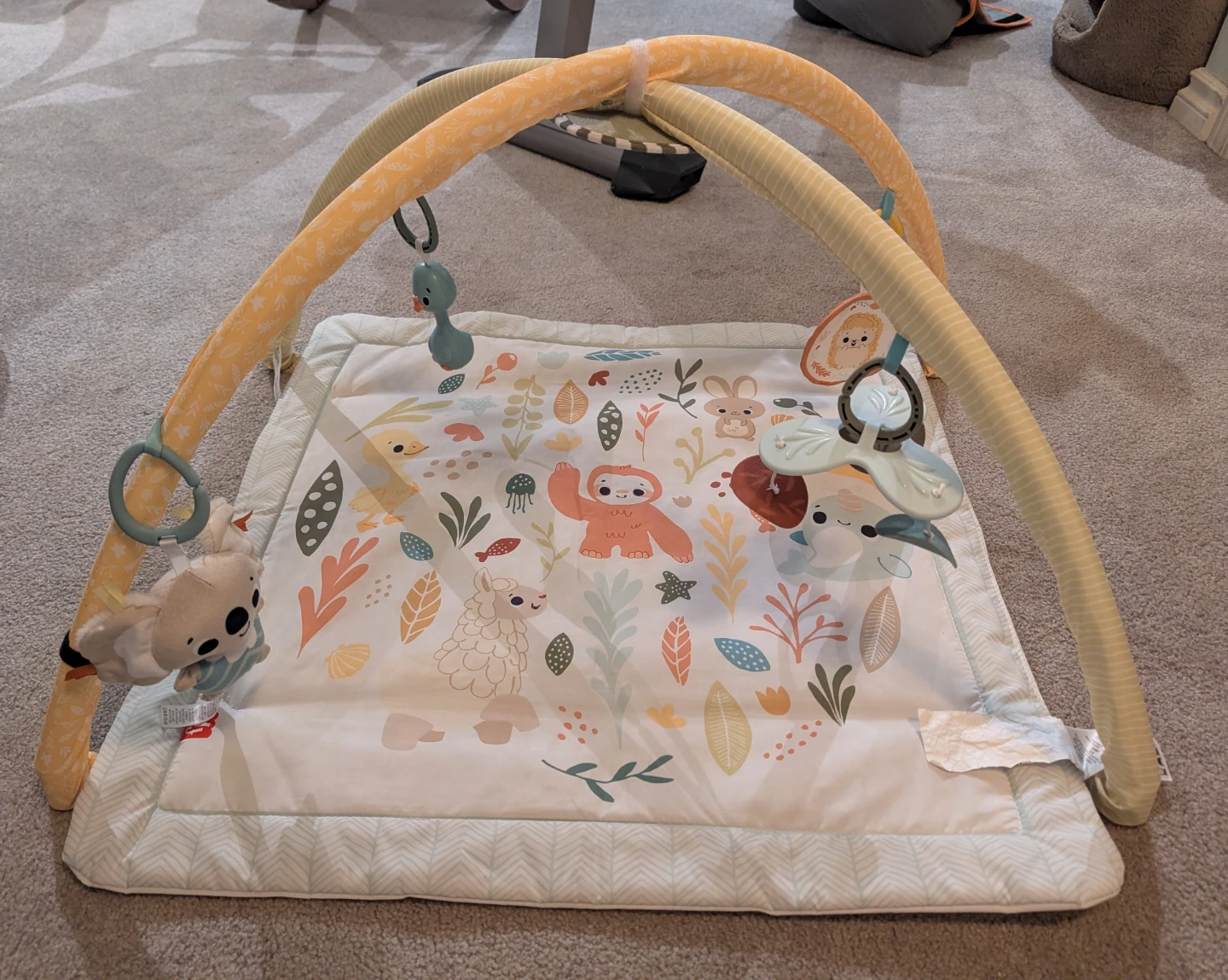 Fisher-Price Infant Activity Play Gym - photo 2