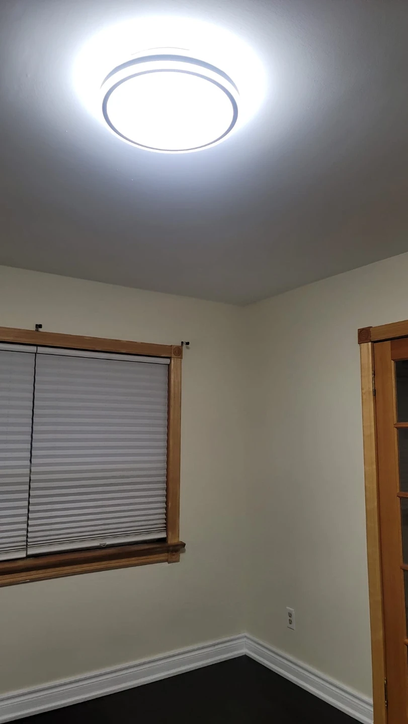 House for rent - photo 4