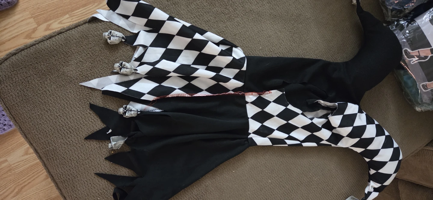 Jester Halloween Costume - photo 4