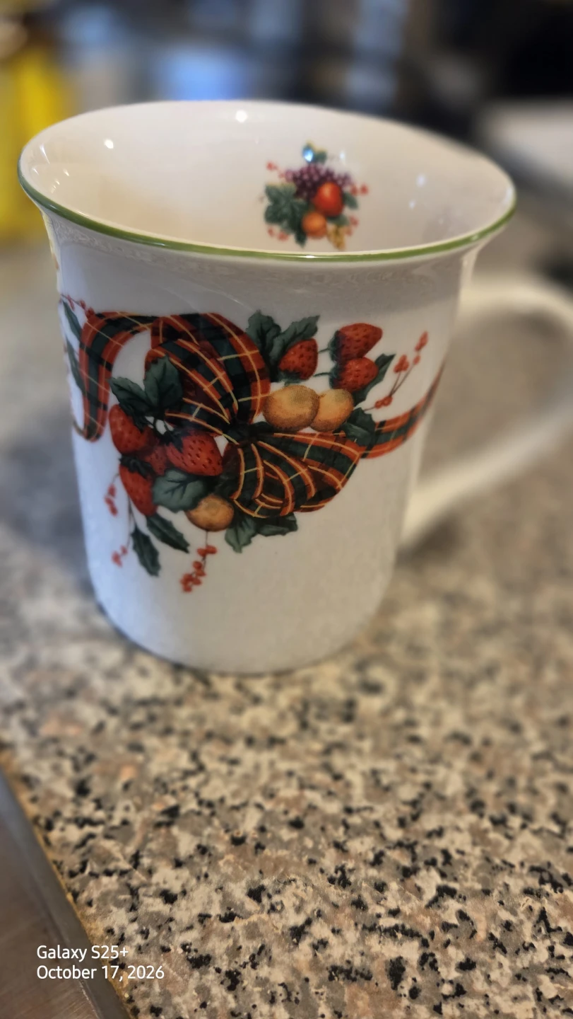 Christmas Fruit Motif Ceramic Mug