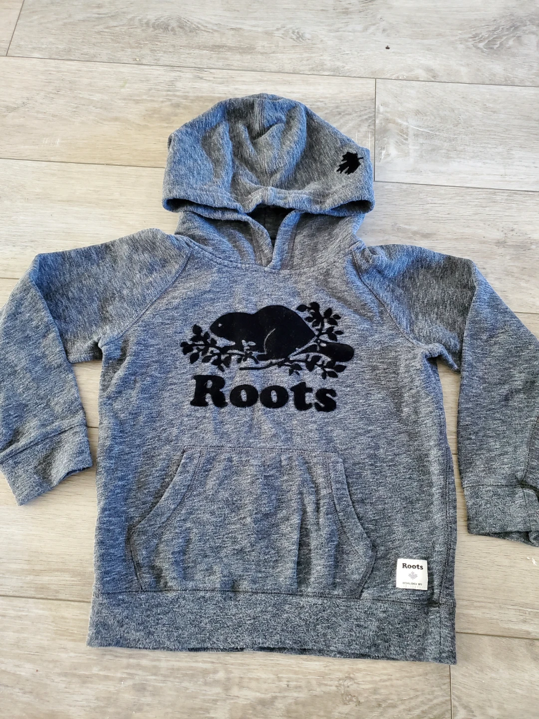 Kids Roots Grey Hoodie