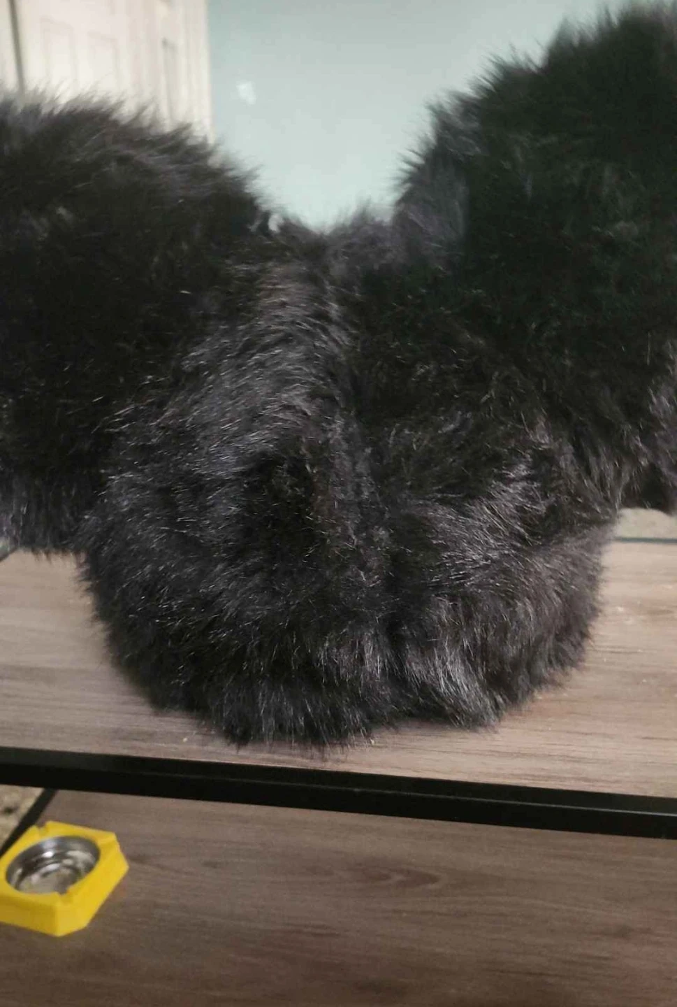 Fursuit Head - Black and White Cat - photo 3
