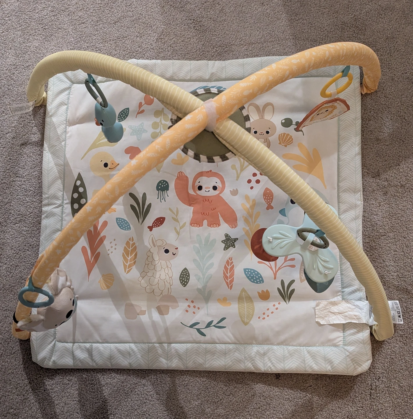 Fisher-Price Infant Activity Play Gym