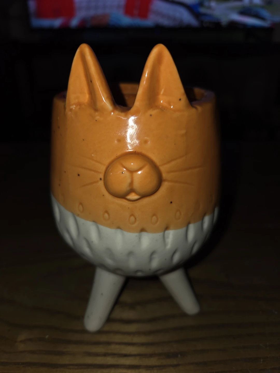 Ceramic Cat Planter Pot