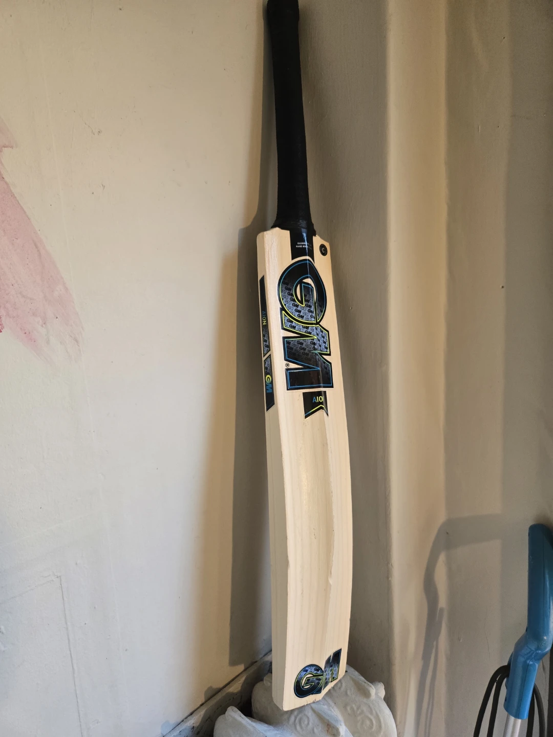 GM Aion Cricket Bat