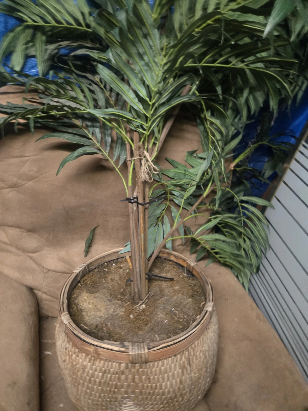 Artificial Palm Plant in Woven Basket - photo 2