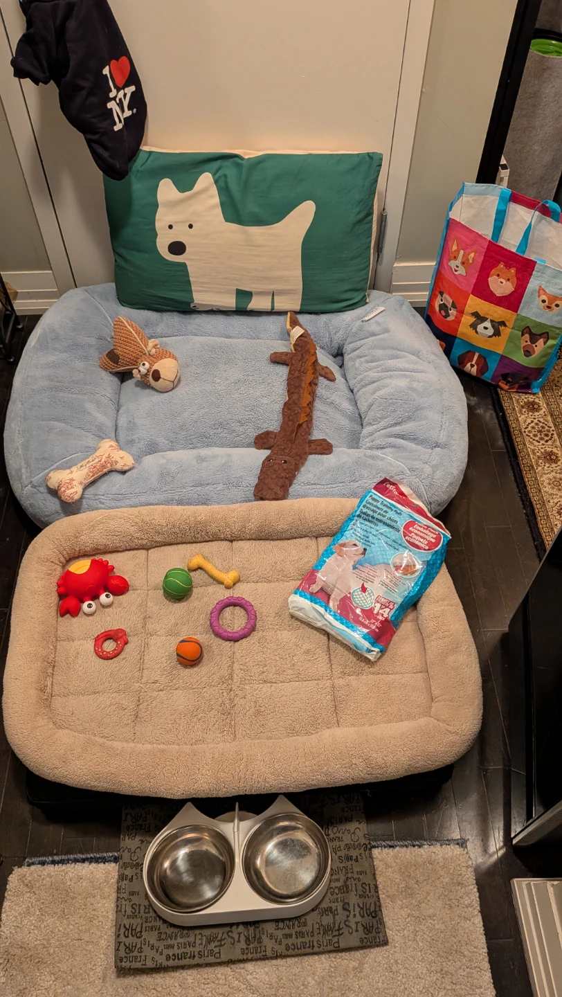 Dog Bundle various