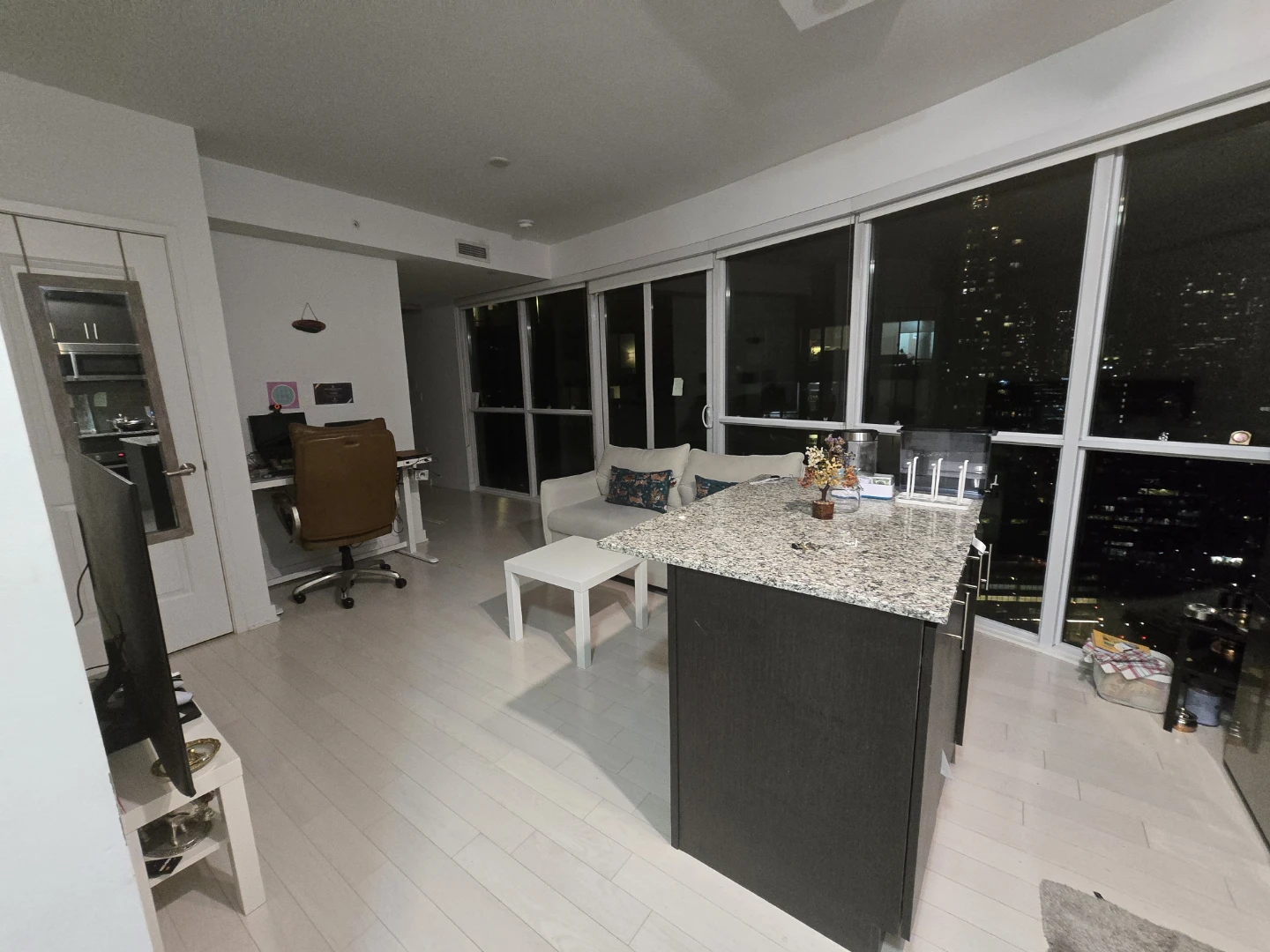 1 Bed 1 Bath condo - photo 2