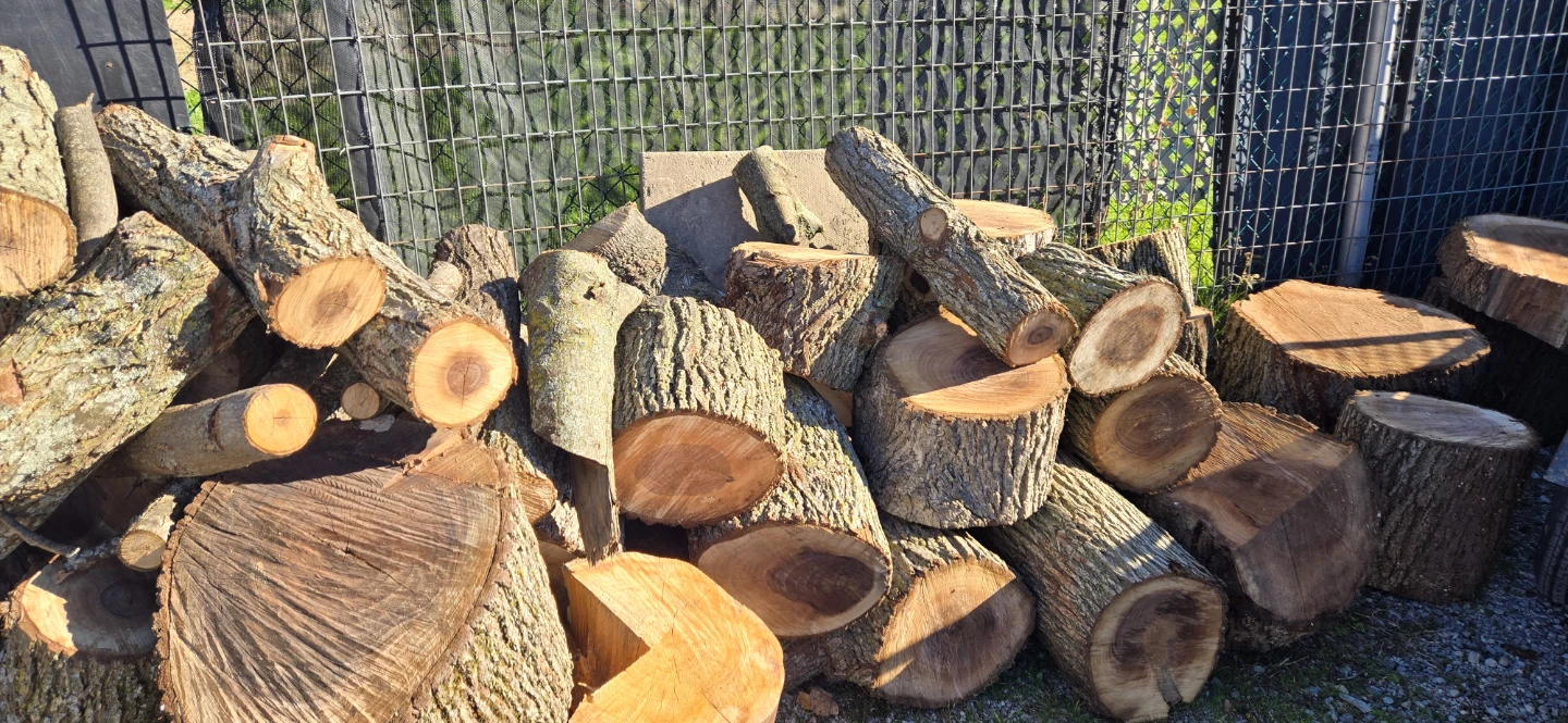 Firewood Logs - photo 4