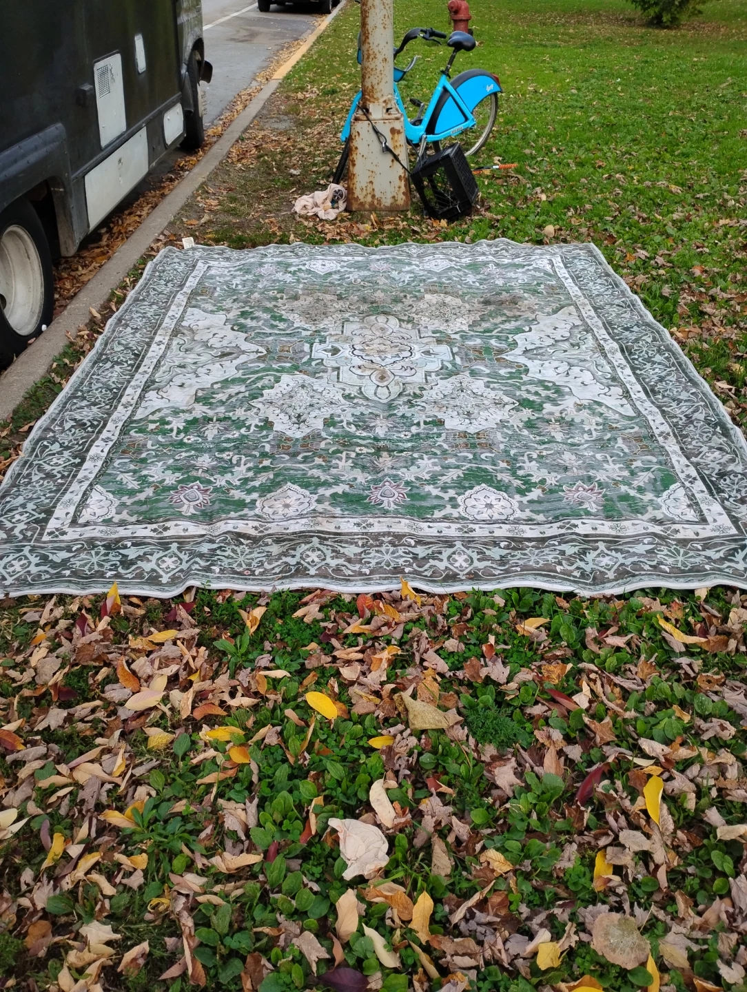 Green and white ornate area rug - photo 5