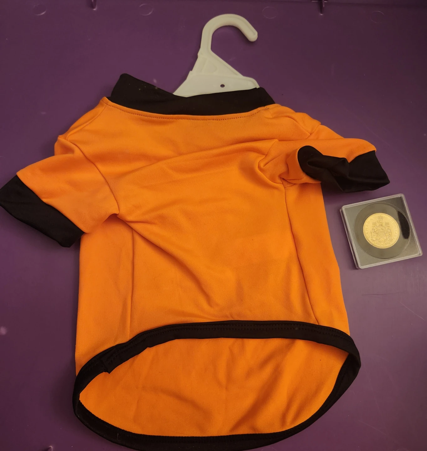 HALLOWEEN - Pumpkin Costume for your Fur Baby - photo 2