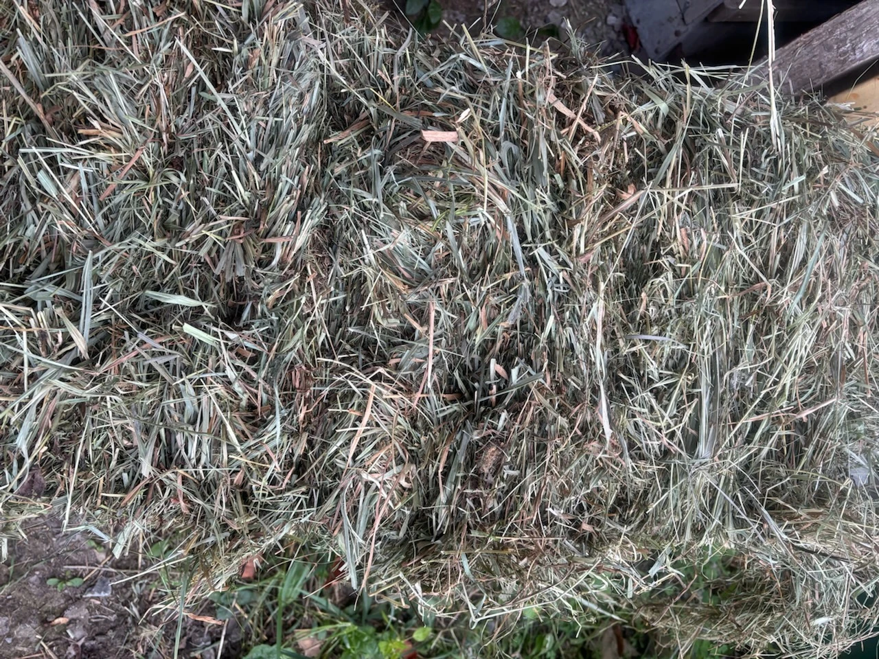 Bale of Dried Hay - photo 2