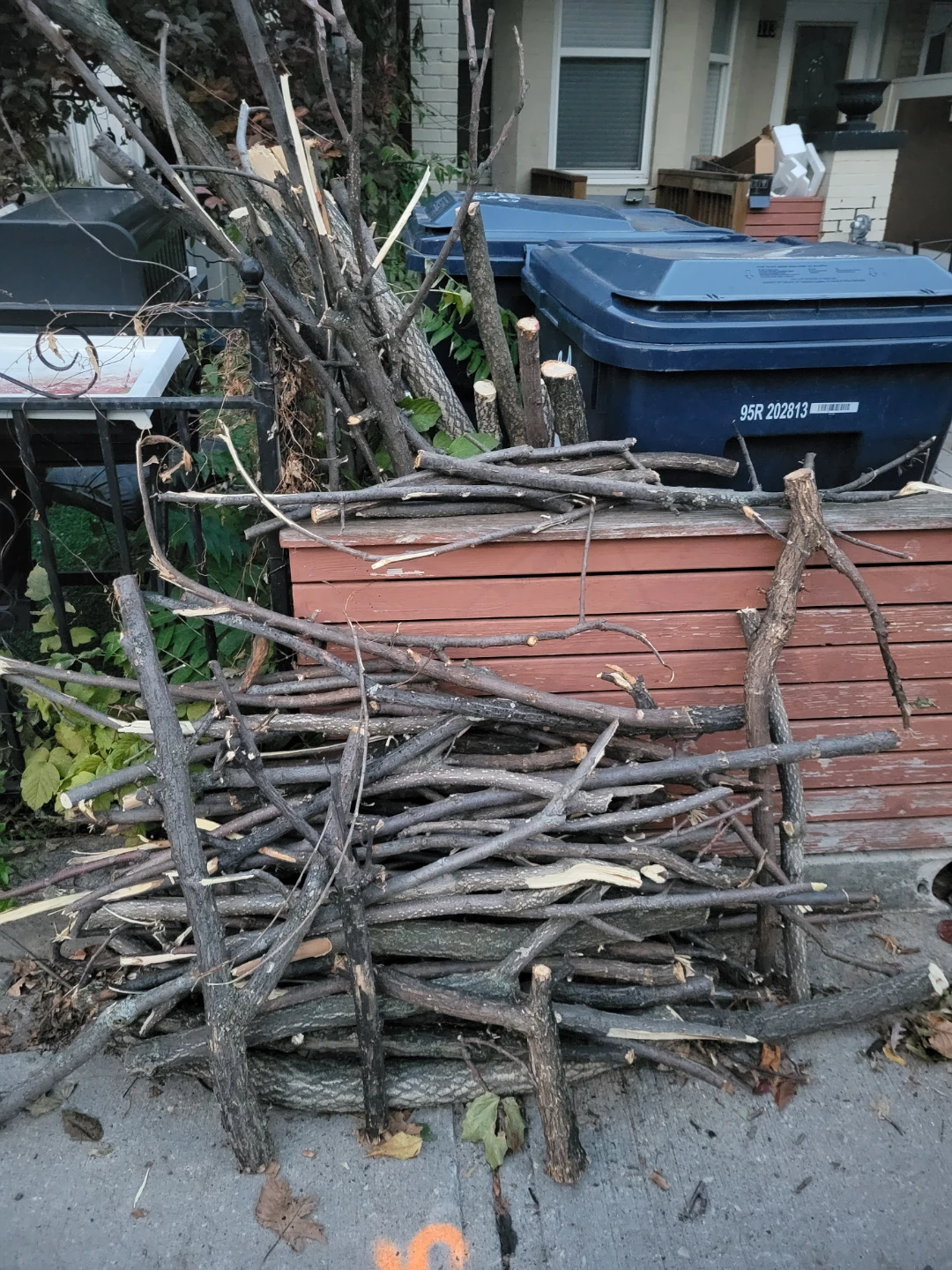 Free firewood sticks and tree branches - photo 2