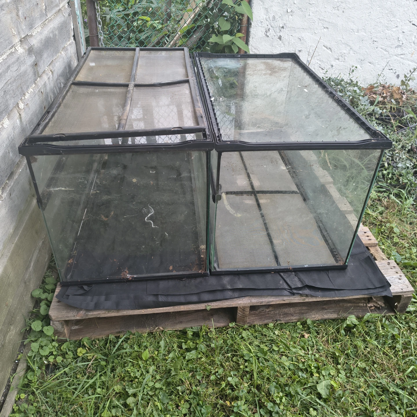 Exo Terra Large Wide Terrariums - photo 4