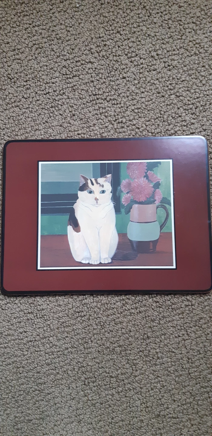 Set of 4 Cat Design Placemats - photo 5