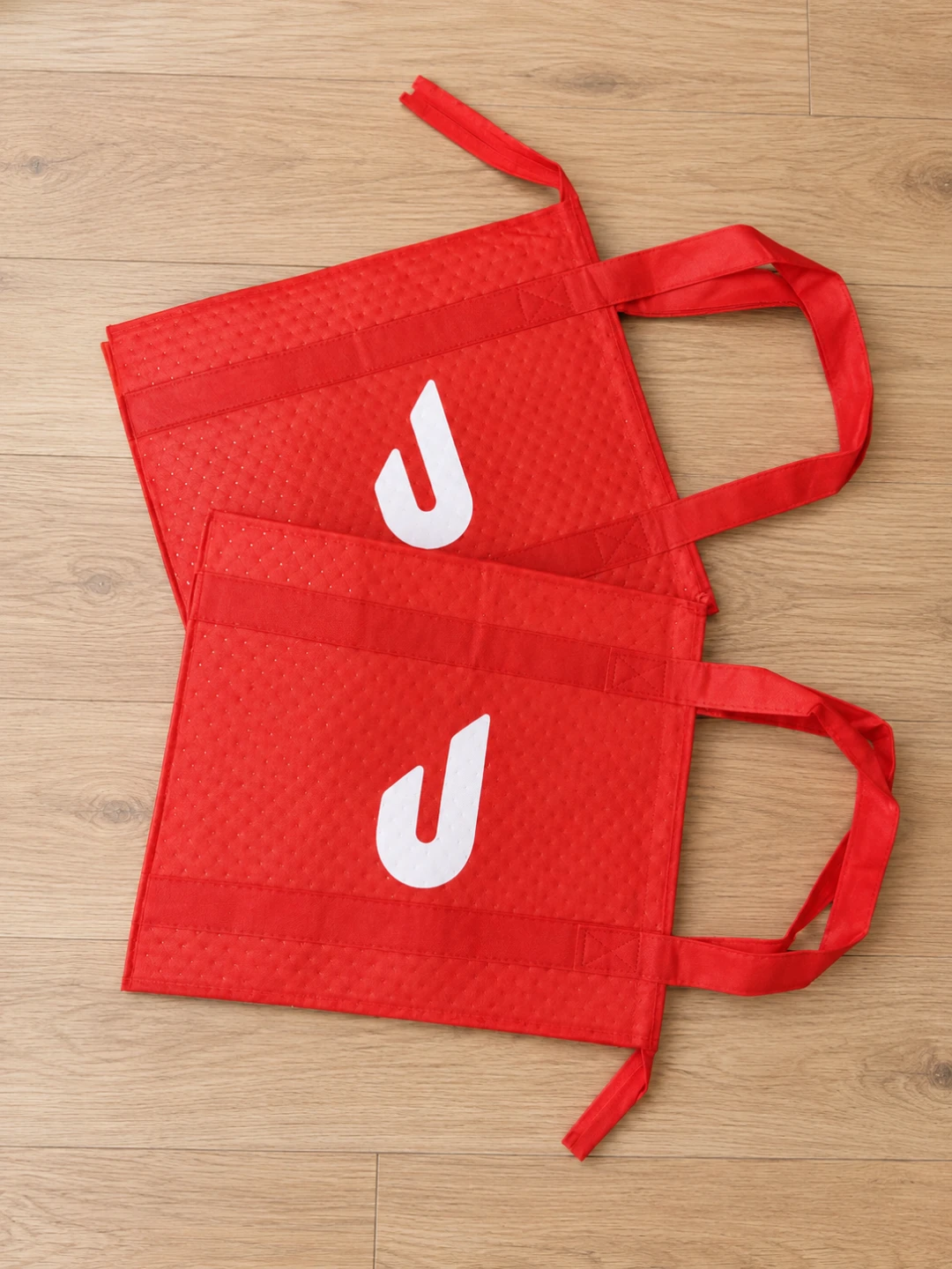 Two DoorDash Insulated Grocery Bags