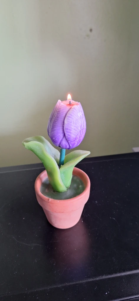 Tulip Flower Potted Candle - photo 2