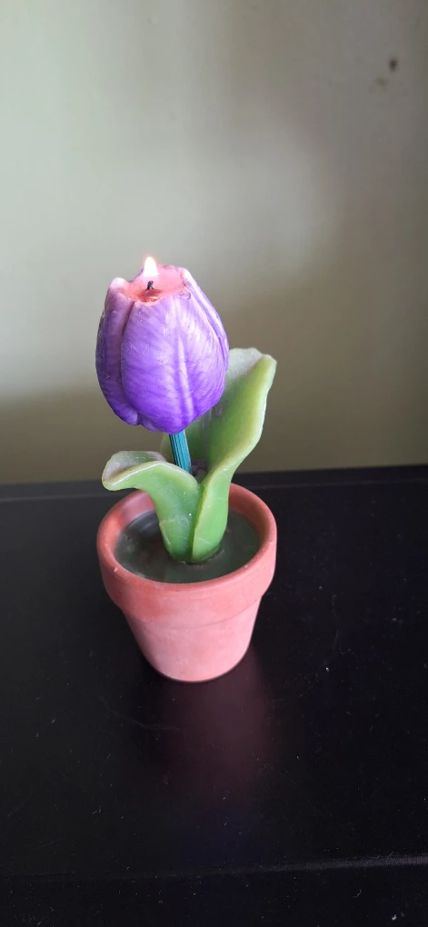 Tulip Flower Potted Candle - photo 3