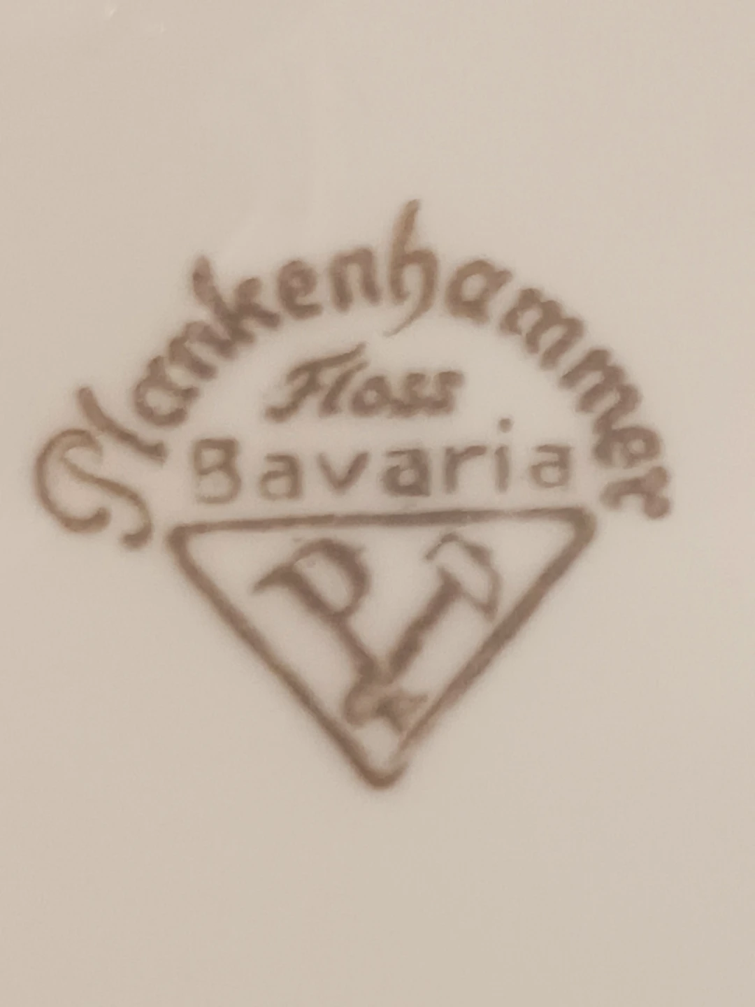 Plankenhammer Bavarian Fine German Porcelain Serving Tray - photo 4