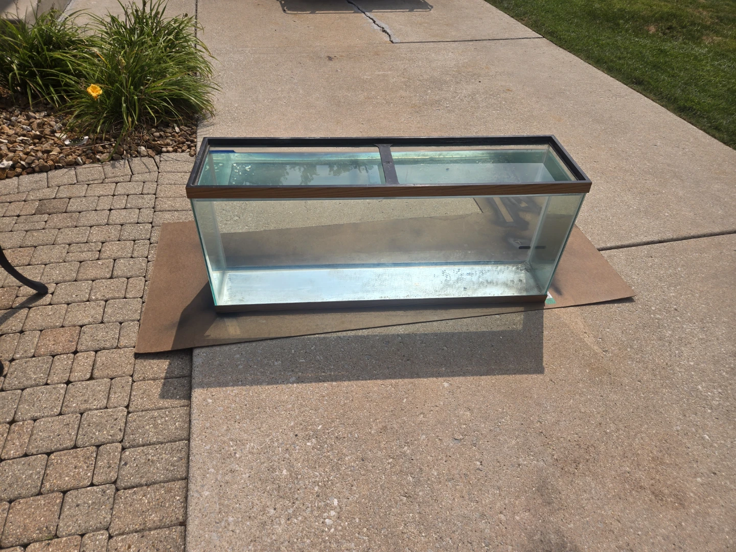 55-Gallon Glass Aquarium with Black Metal Stand - photo 2