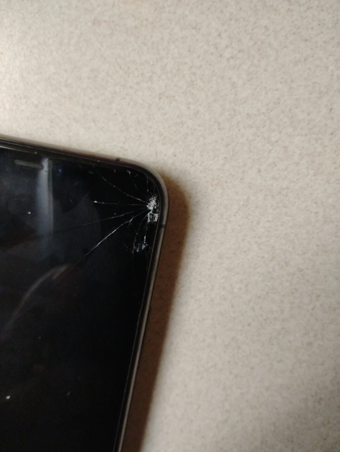 iPhone 11 - photo 4