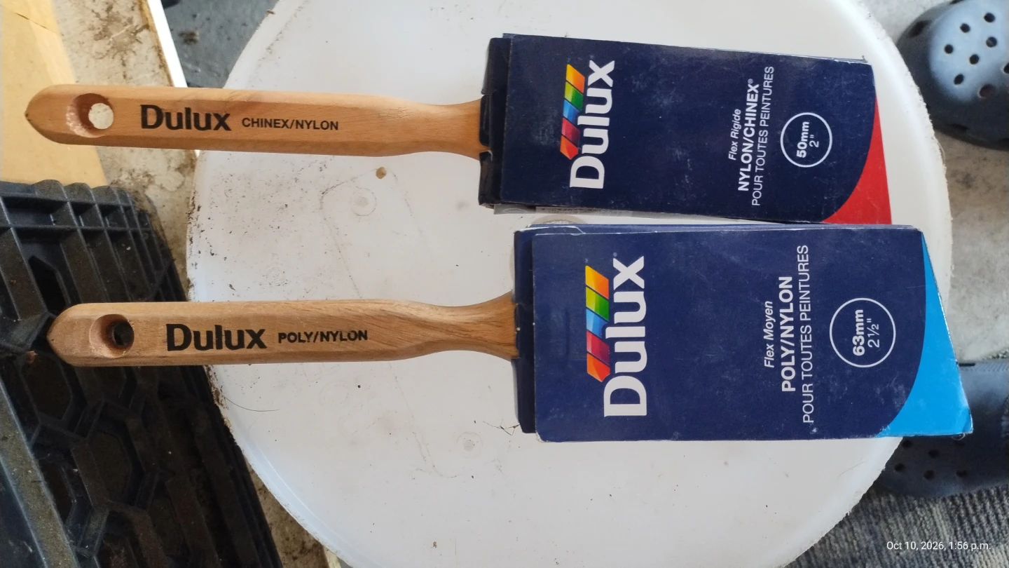 Assorted Professional Paint Brushes
