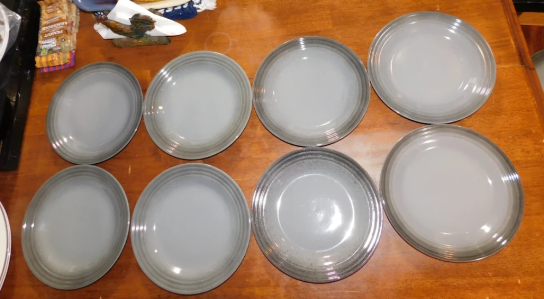 Set of 6 PC Stoneware Dinner Plates - photo 5