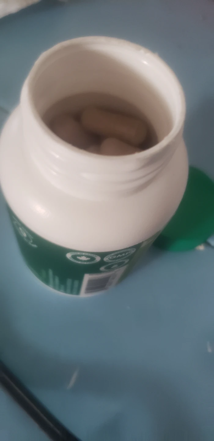 Organika Antiparasitic 56 Vegetarian Capsules - photo 4