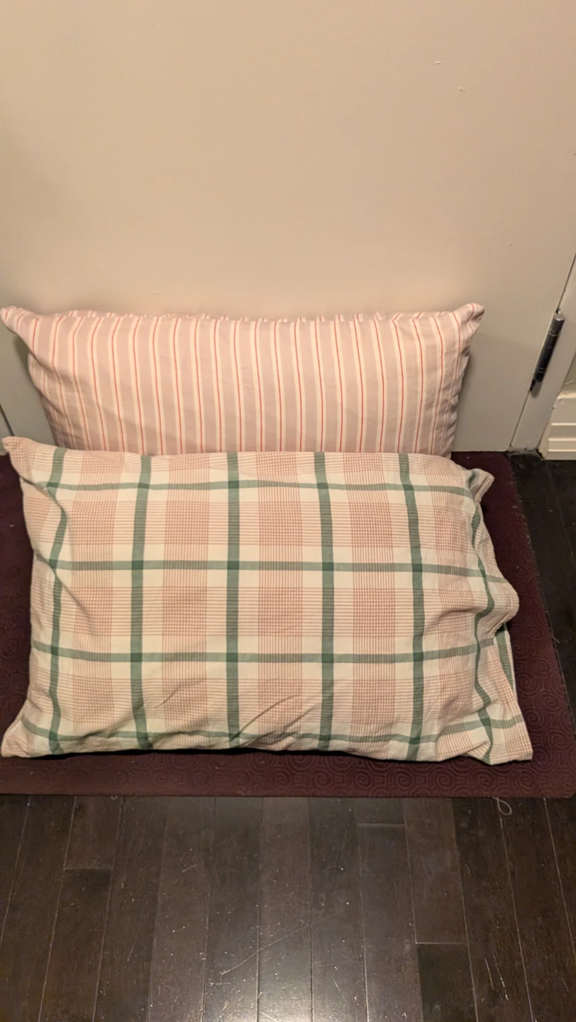 Two Sealy Posturepedic Pillows with Covers - photo 5