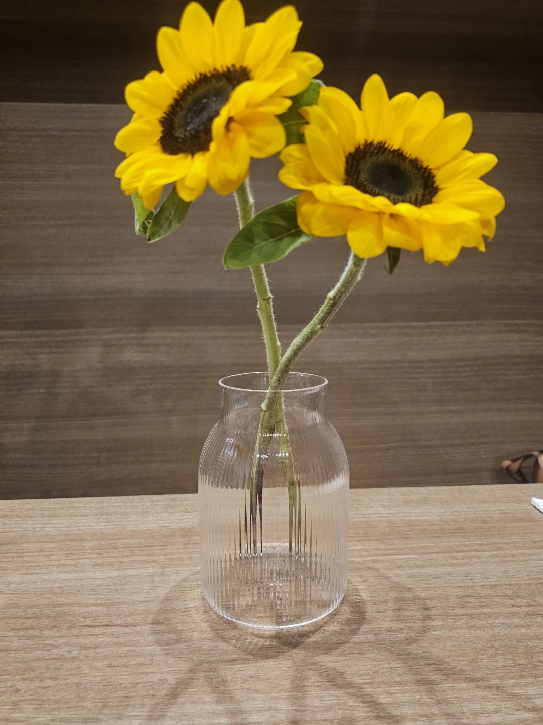 Clear Ribbed Glass Vase