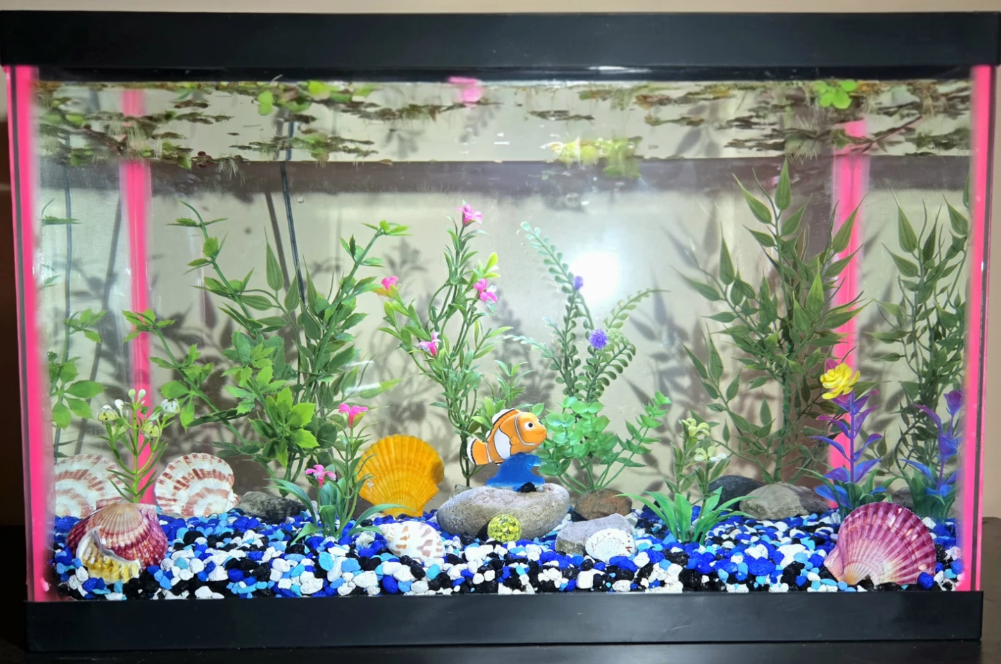 Aquarium with Filter - photo 4