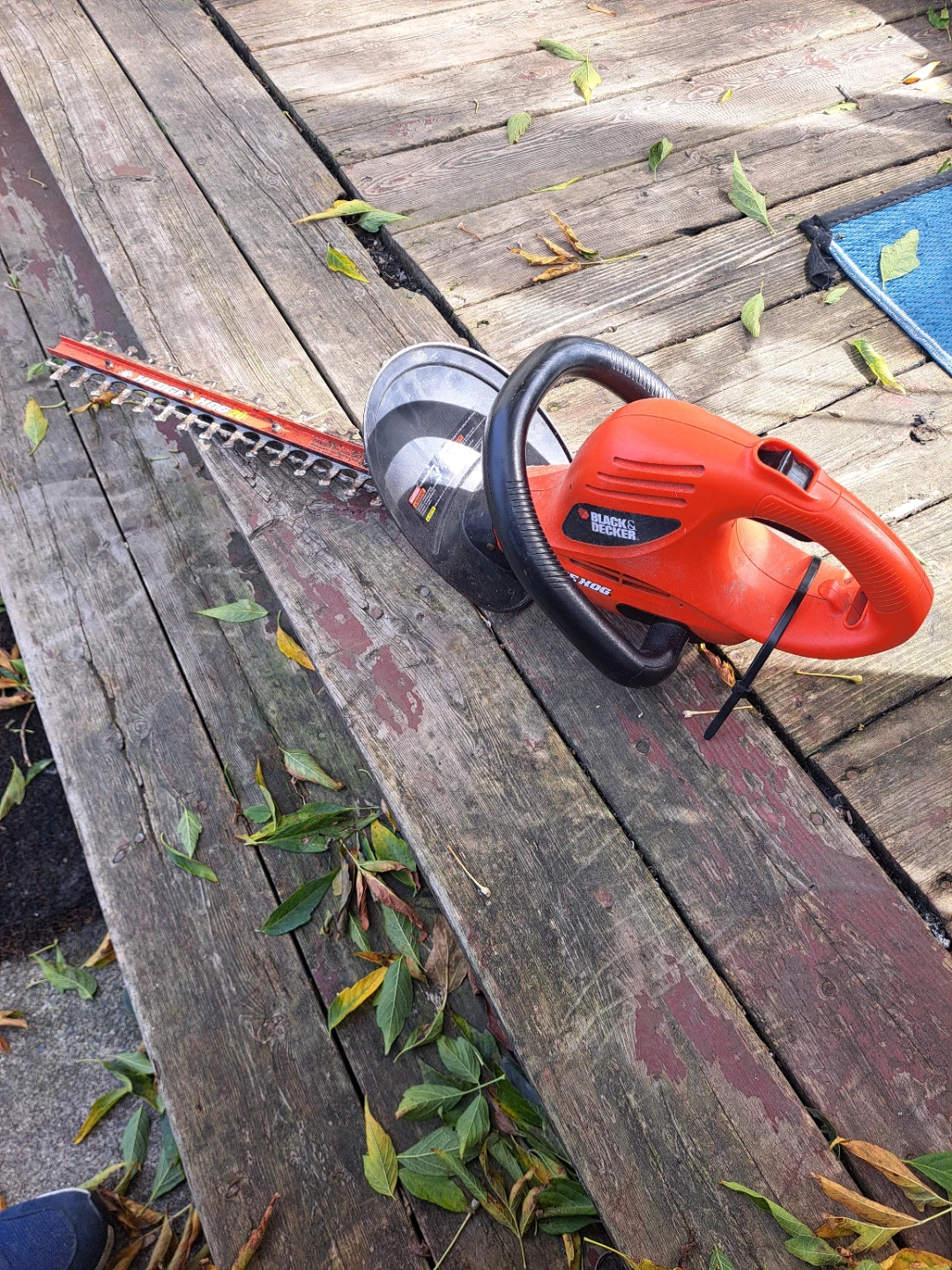 Black & Decker Hedge Hog 20 inch Hedge Trimmer