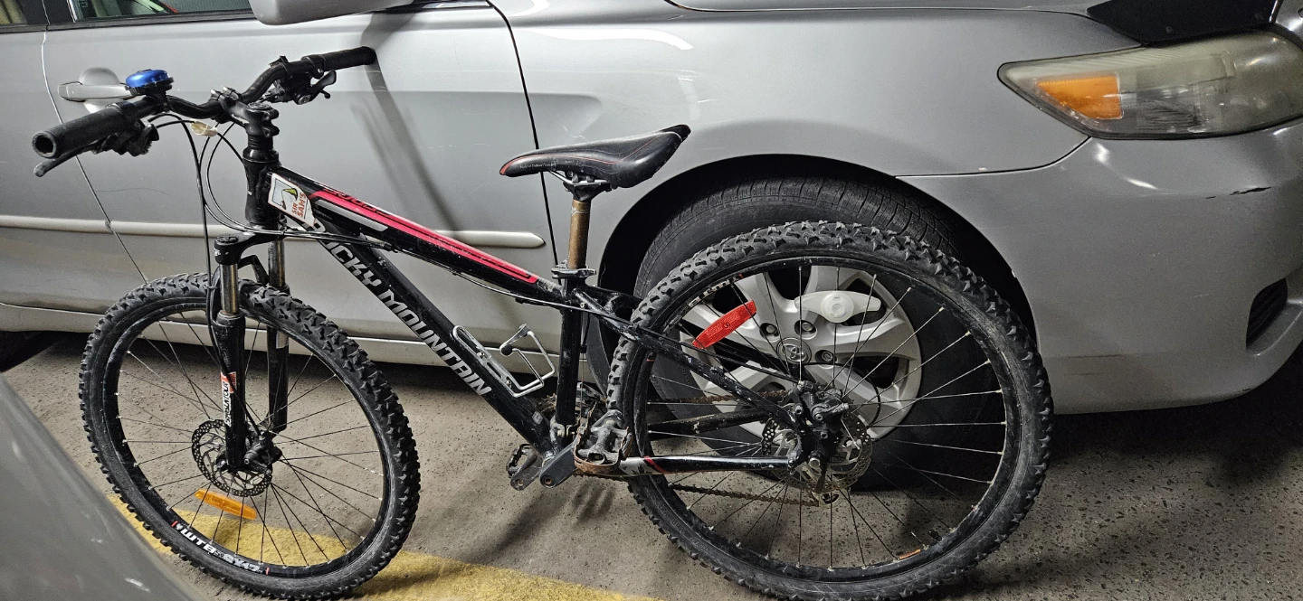 Rocky Mountain Soul Mountain Bike