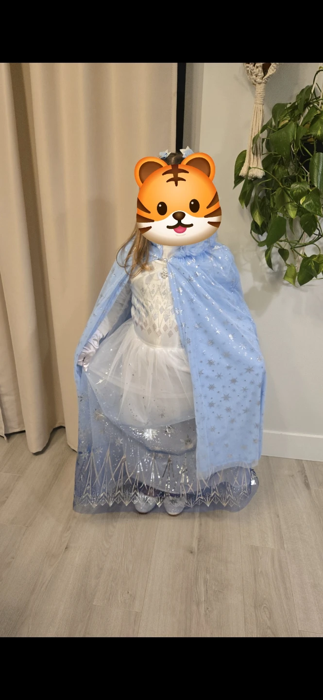 Disney Frozen Elsa Costume - photo 3
