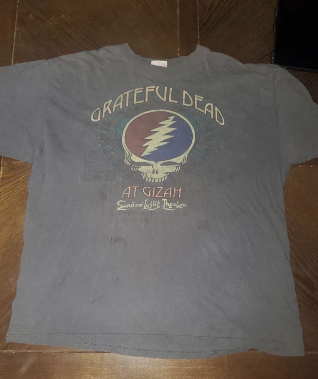 Grateful Dead At Gizah Concert T-Shirt