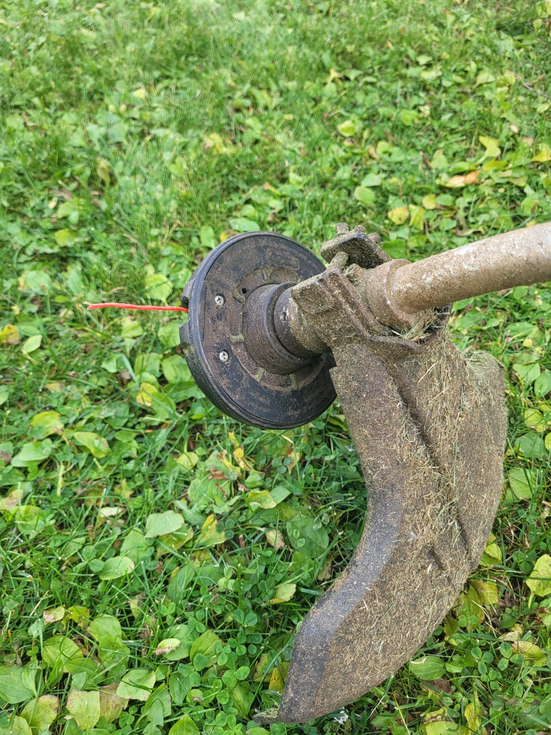 Echo Gas Grass Trimmer - photo 2