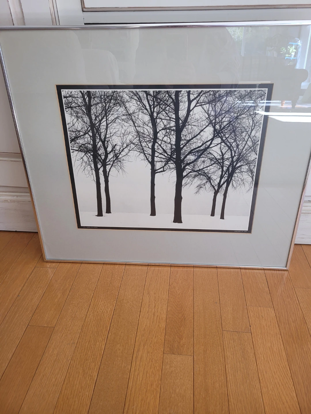 Harry Callahan Chicago 1950 Framed Print