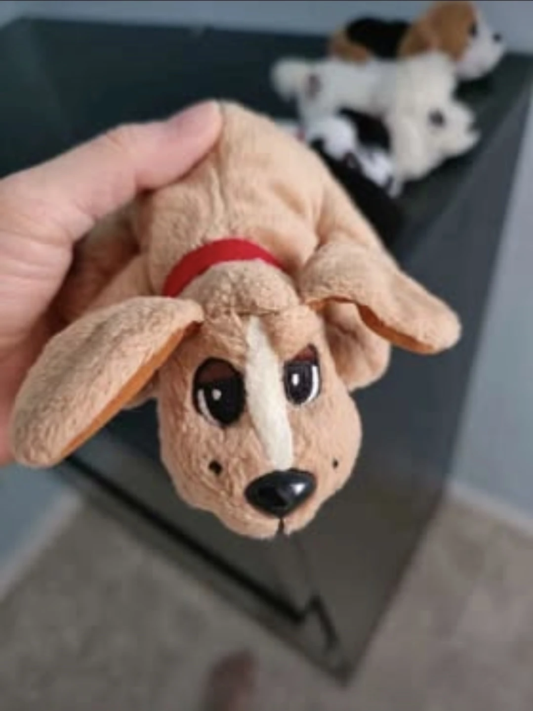 Brand New High-quality Collection Puppies $80 - photo 4