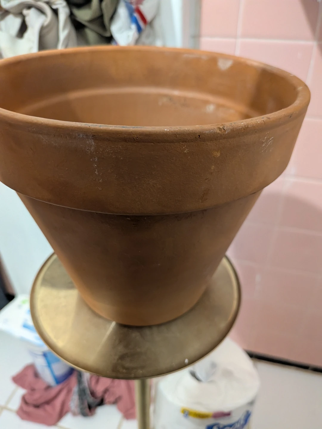 Deroma Clay Pot 7.5 Inch