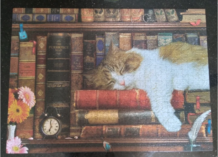 EuroGraphics 1000-Piece Jigsaw Puzzle: The Cat Nap - photo 3