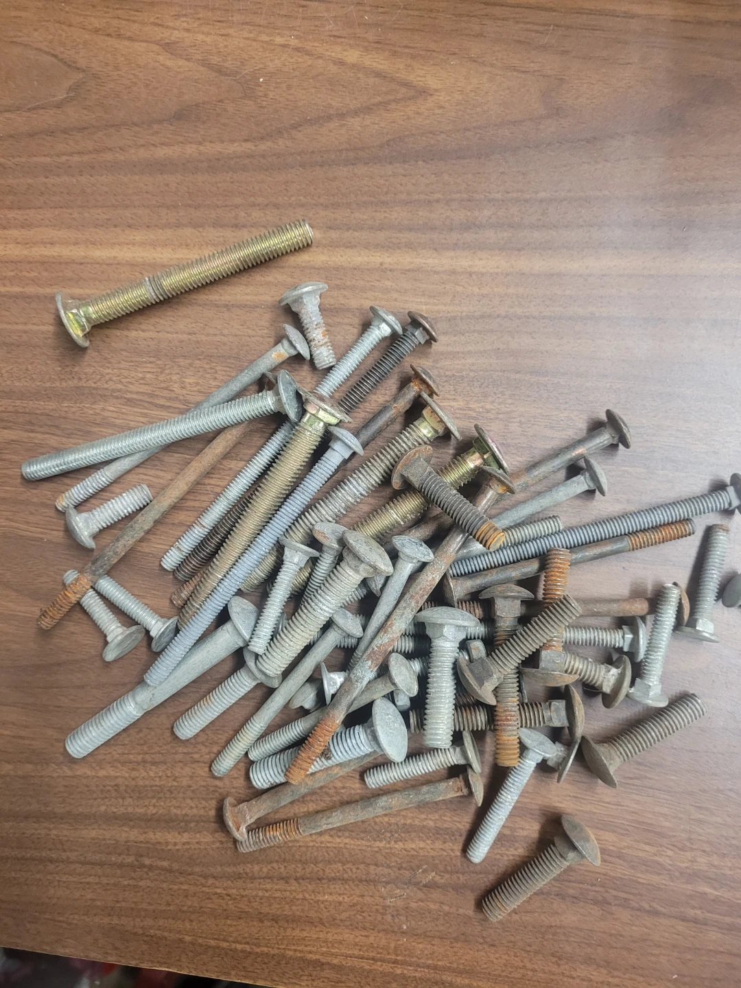 Assorted Carriage Bolts