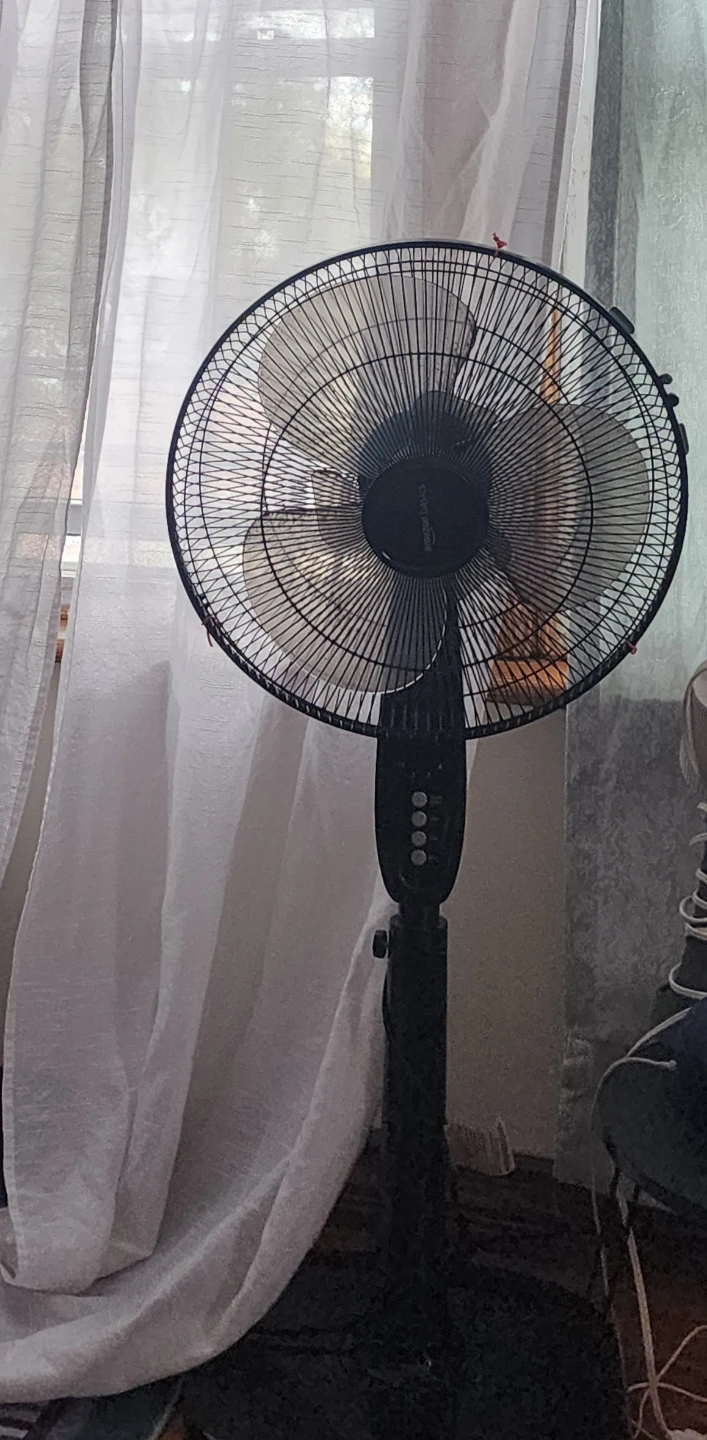 AmazonBasics Adjustable Standing Pedestal Fan