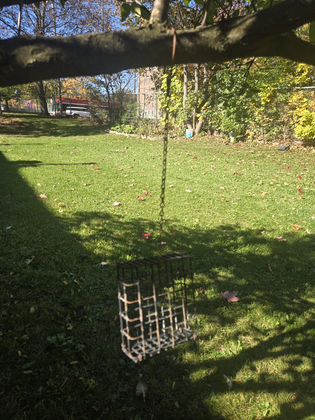 Assorted Bird Feeders and Suet Cages