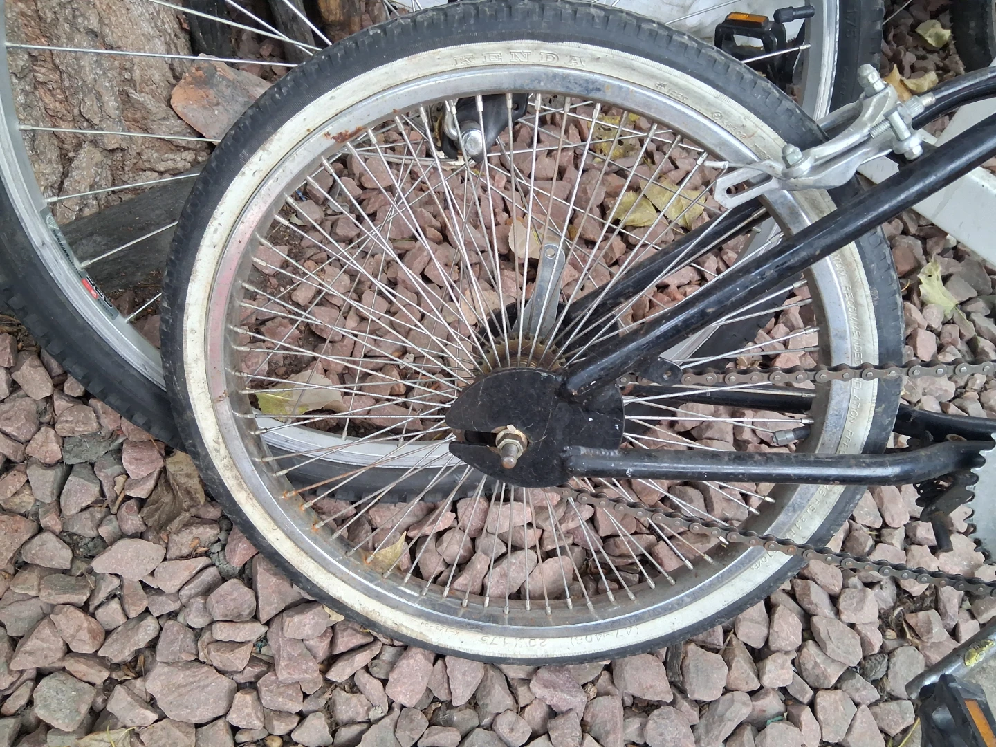 Pacific BMX Bike aftermarket 100 spoke whitewalls - photo 5